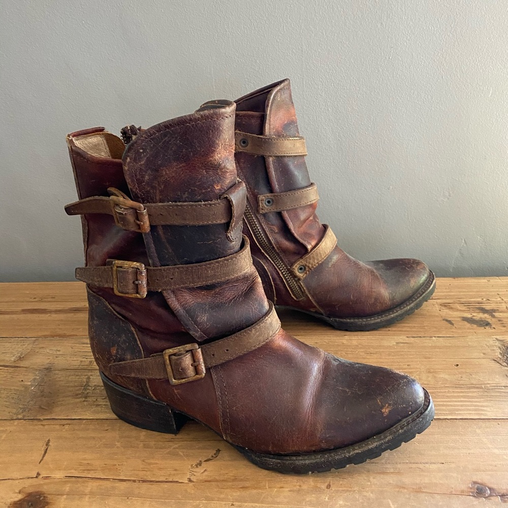 Freebird by Steven Boot